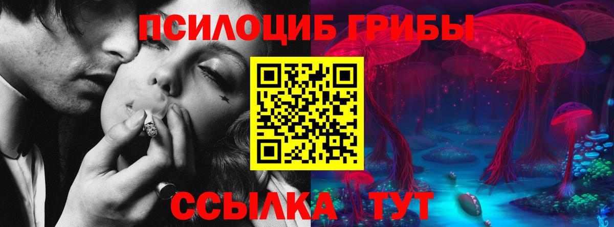 Галлюциногенные грибы Psilocybe  Вход с VPN  Псилоцибиновые грибы мухоморы  цена наркотик  Магадан 